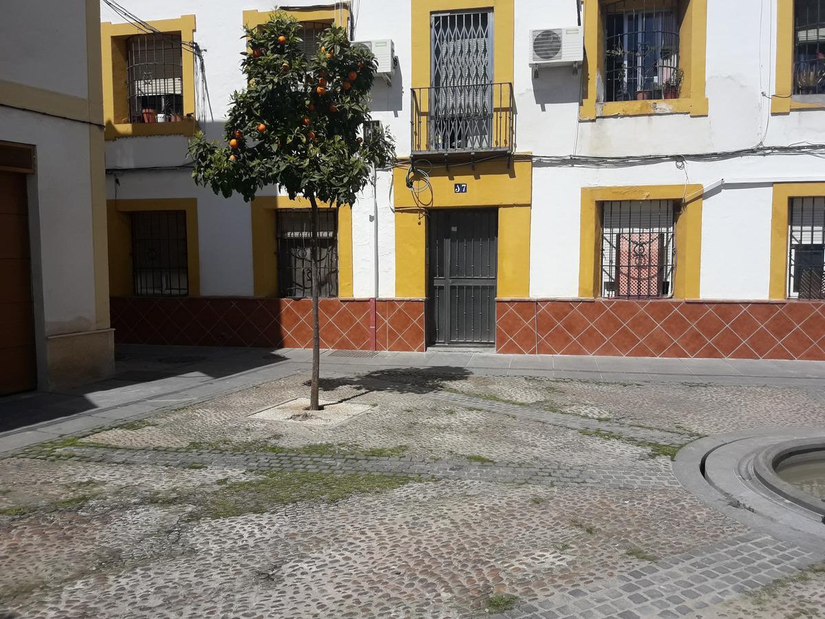 Sleep & Shower In A Typical District Córdoba Exteriér fotografie